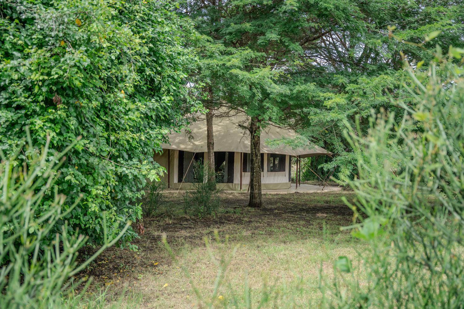 Dolly Farm & River Camp, Luxury Tents Usa River Exterior photo