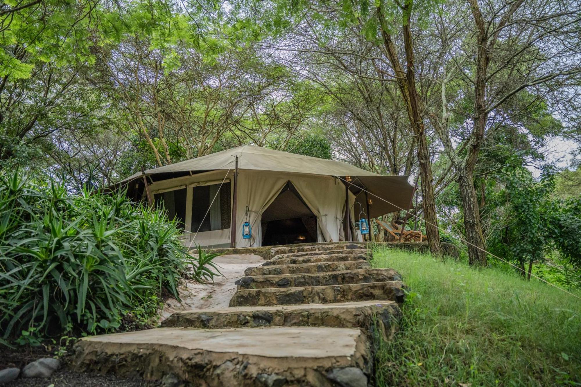 Dolly Farm & River Camp, Luxury Tents Usa River Exterior photo