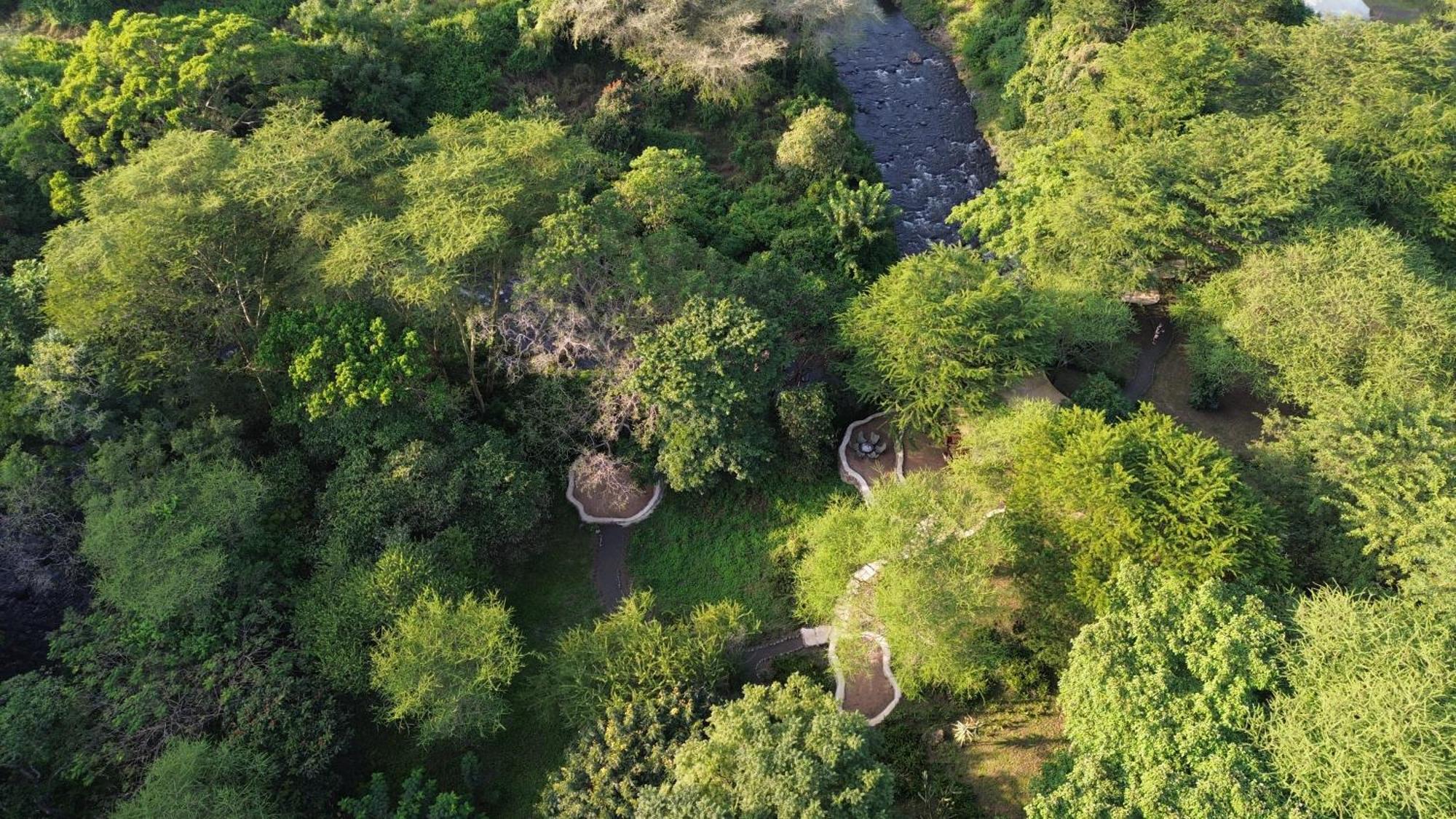 Dolly Farm & River Camp, Luxury Tents Usa River Exterior photo